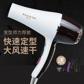 御风之神AIOLOS9948电吹风机大功率专业发廊理发店家用冷热吹风筒