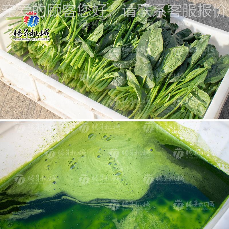 现货水机榨TS-GZ110汁机商用大榨型榨汁不锈钢蔬菜果汁机