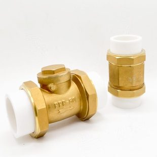 铜止回阀PPR铜卧立式 双活接单向阀逆止自来水管表4 6分DN20