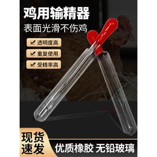 鸡用输精管养殖家禽专用受精滴管斗给鸡输精人工授精玻璃采精针管