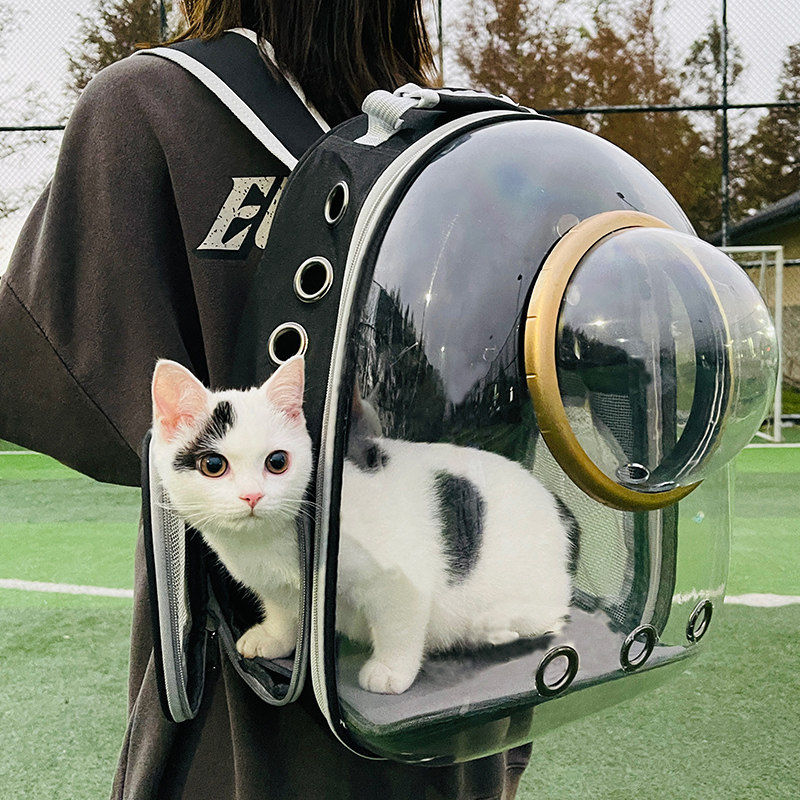 猫包便携外出防应激猫咪洗澡神器宠物包背包太空舱双肩兔子书包狗