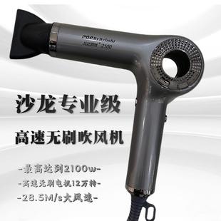 比比丽丝2100负离子无刷吹风机理发店专用护发不伤发轻巧机身家用