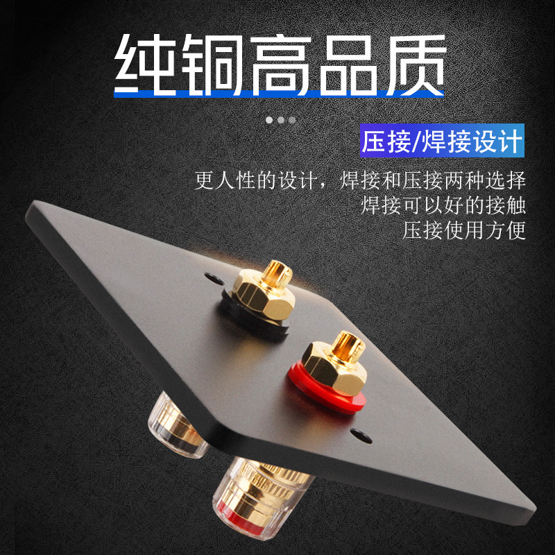 线尊 Z3入墙式音响接线柱碳纤音箱接线盒86型面板镀铑喇叭线墙插,影音电器,端子,淘宝优惠券,粉丝福利购,淘宝优惠卷