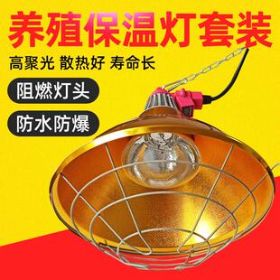 仔猪保温箱灯育雏鸡苗取暖灯泡灯罩可调温度加热小鸡猪养殖带线罩