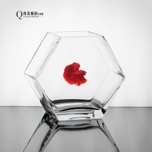 个性斗鱼缸热带鱼缸小号高透亮玻璃鱼缸桌面鱼缸五边形水培花瓶