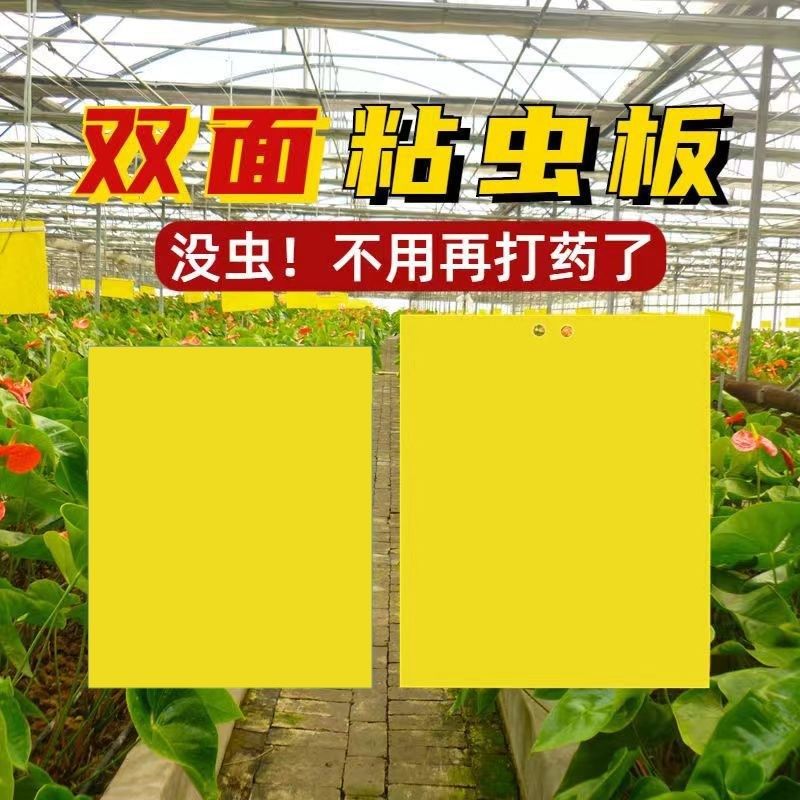 双面粘虫板诱虫板大棚菜地防虫贴果树针锋蓟马篮板小黑飞室内盆栽,农机/农具/农膜,农用灭虫板/诱虫板,淘宝优惠券,粉丝福利购,淘宝优惠卷