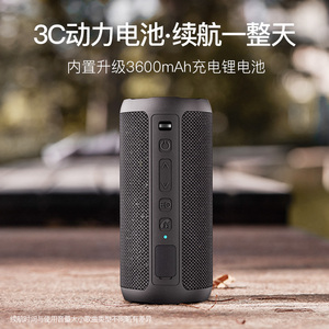 雷登X10 蓝牙音箱双喇叭3d环绕大功率音量超重低音炮手机网红无线