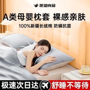 A类母婴枕套纯色防螨枕头套一对装高级家用儿童枕芯套新款100纯棉