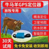 牛羊定位器定位器gps定位器山区放牧专用订位马动物防水防丢追跟
