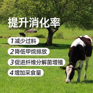 安琪兽用酿酒酵母粉菌饲料添加剂福邦牛羊反刍鸡鸭鹅猪畜禽促消化