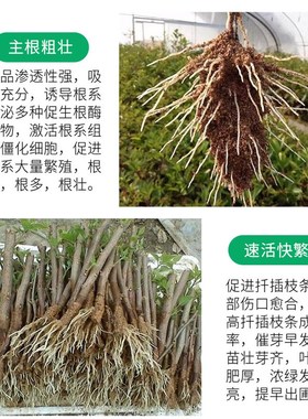 易活植物通用快速生根液花卉果树苗木通用生根水增根壮苗生根剂