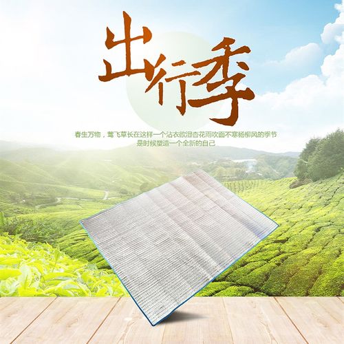 户外超大2-3-4人双人多人铝膜防潮垫 野餐垫户外垫帐篷垫超大包邮