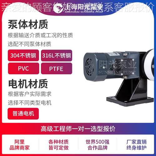 DJ-L膜型隔动式计量泵计泵 污水量计量泵501现货电隔膜计量泵