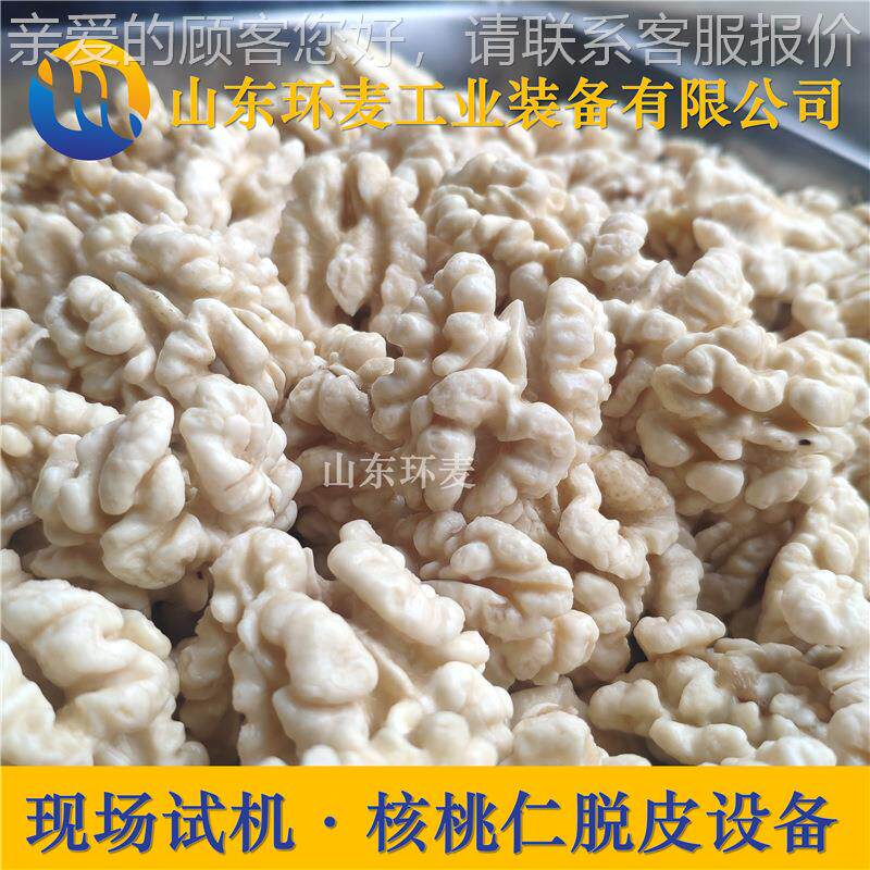 纯物理核桃仁去皮机 麦核仁脱皮环机桃无碱添加HB-3000- 试去机坚
