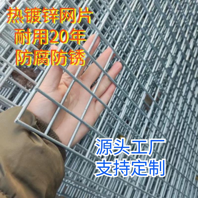加粗镀锌网片铁丝网围栏狗笼子建筑隔离防护电焊网片鸽舍围网小孔