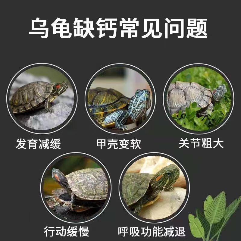 陆龟钙粉维生素爬虫宠物乌龟兽用含d3电解质肠炎生病的药补钙饲料,宠物/宠物食品及用品,爬虫/鸣虫食物,淘宝优惠券,粉丝福利购,淘宝优惠卷