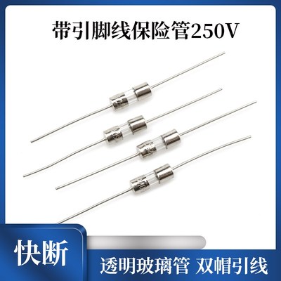 3.6*10mm玻璃保险丝管 12A 双帽带引线/引脚 F12AL250V 快断慢断