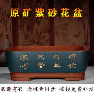 紫砂花盆长方形带孔盆室内花卉植物文竹老桩盆陶瓷长方形梅花盆栽