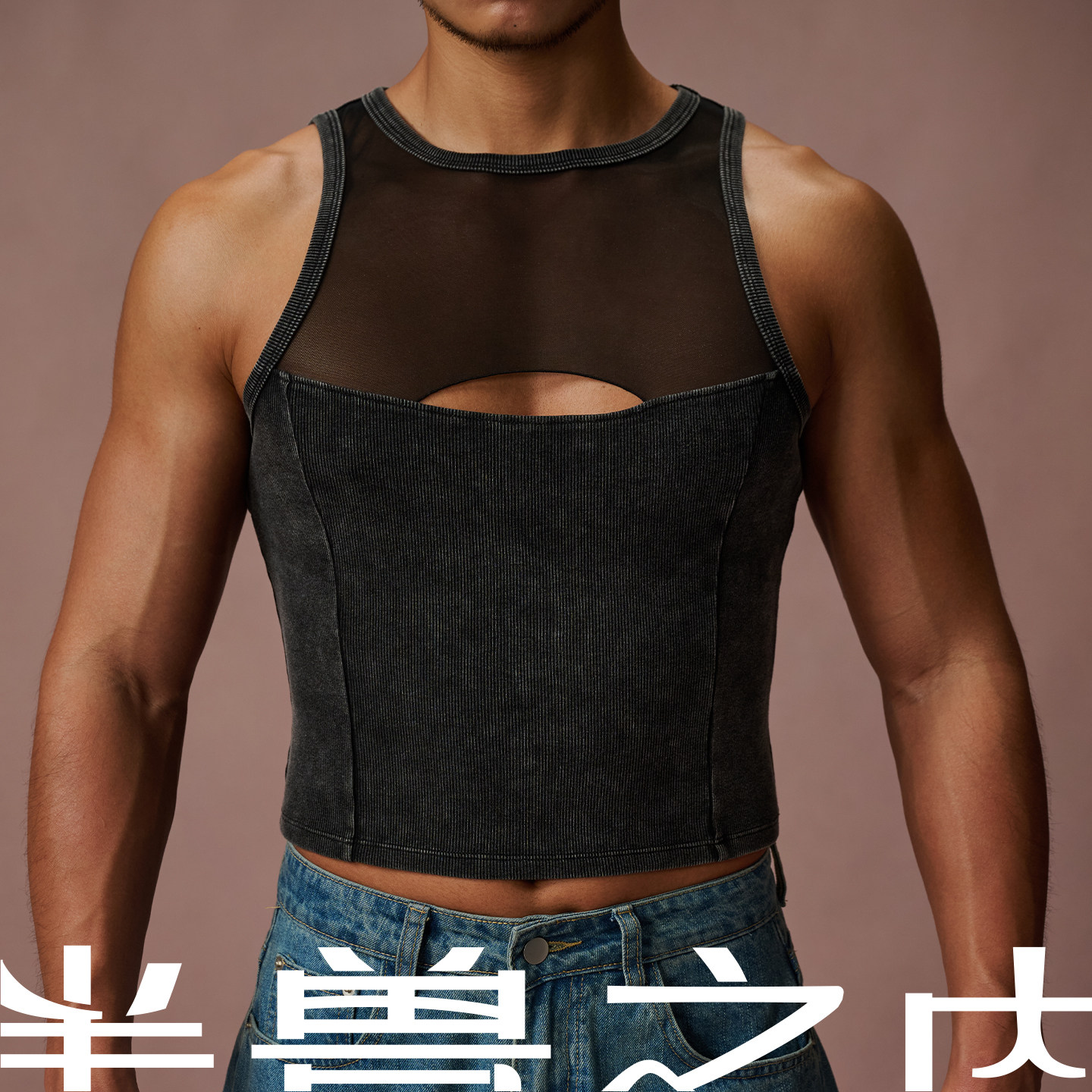 【新品】半兽之内