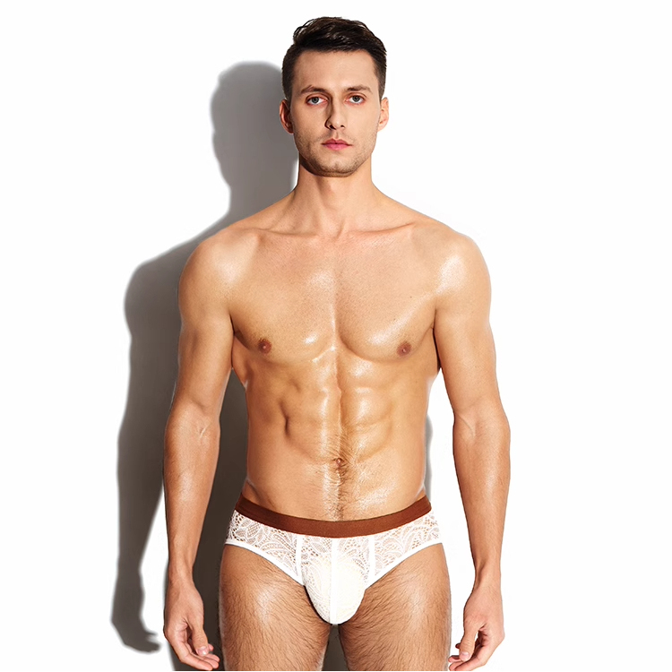 半兽之内“梦境副本”性感蕾丝三角裤男透气低腰设计感运动内裤