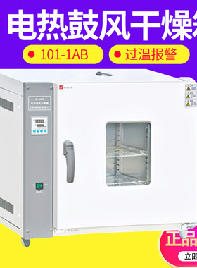 天津泰斯特 101-1DB/2DB/3DB 电热鼓风干燥箱 实验室小型烘箱