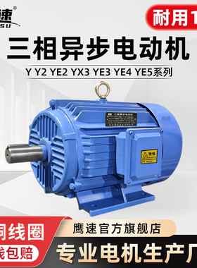 铜线电机Y160M2-2级15kwYE3-160M-4极11KW Y160L-6三相异步电动机