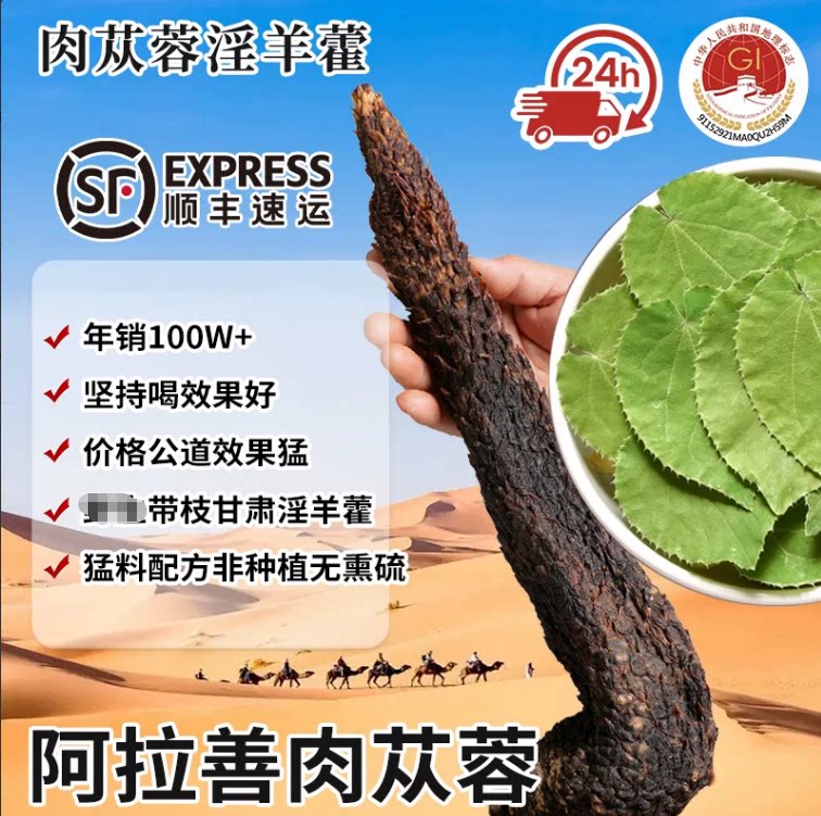 阿拉善有机肉苁蓉锁阳甘肃淫羊藿