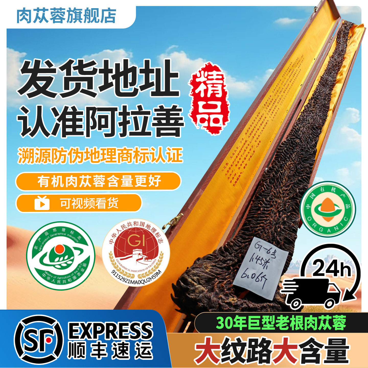 有机阿拉善肉苁蓉中药材正品