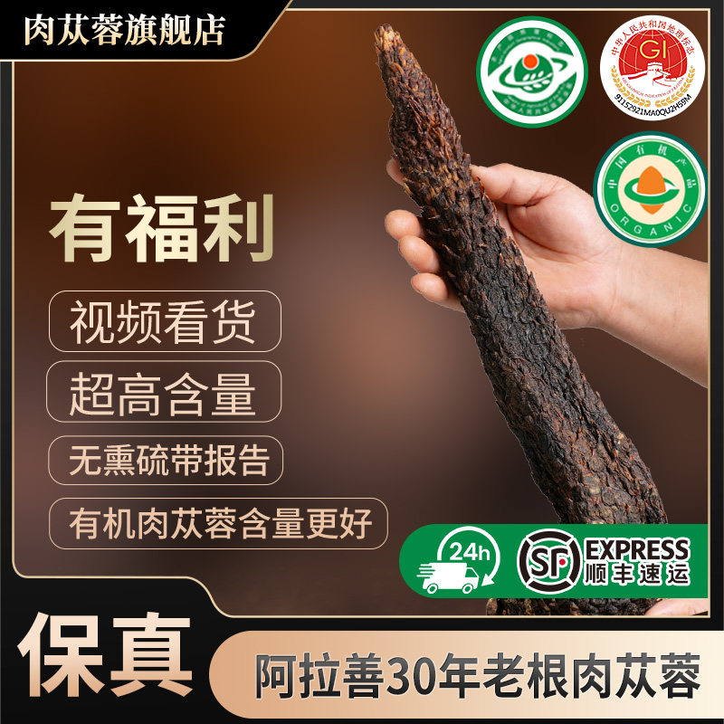 内蒙古阿拉善有机肉苁蓉非种植中药材正品旗舰店油苁蓉整根淫羊藿