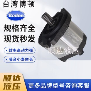 D36 D32 D38 D40 D25C1F1油泵 Boden博顿BHP2.5A1D30C1F1 D44 D45
