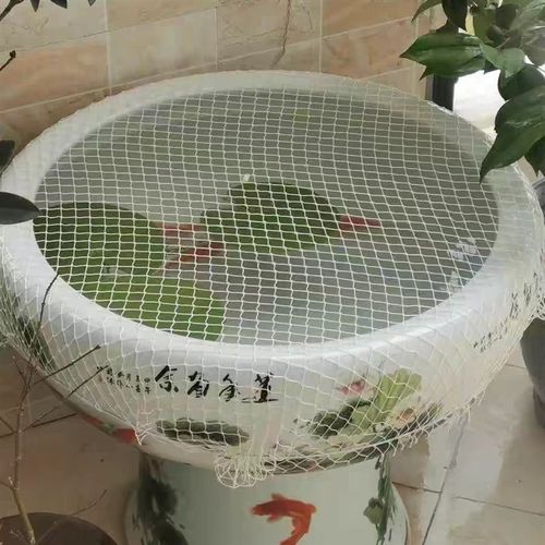 圆形防鱼跳缸网防跳网罩鱼缸盖防逃防猫抓网罩鱼网罩防落叶网工具