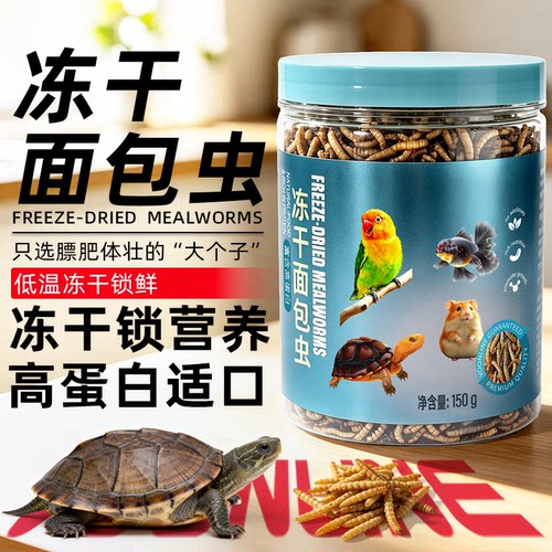 沃韦朗冻干面包虫高蛋白通用饲料