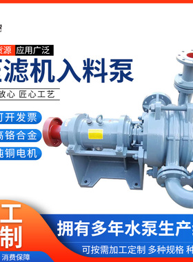 定制压滤机入料泵洗煤厂给料泵ZJW压滤机入料泵煤污泥处理渣浆泵