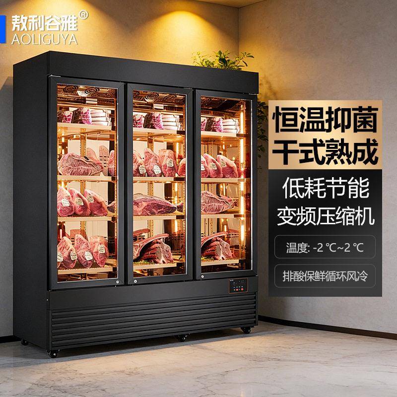 商用西餐厅肉类熟成恒温恒湿冷藏柜保鲜冰箱风冷干式牛肉熟成柜