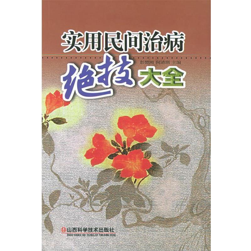 【正版书】 实用民间治病绝技大全 彭楚湘,何清湖 主编 山西科学技术出版社