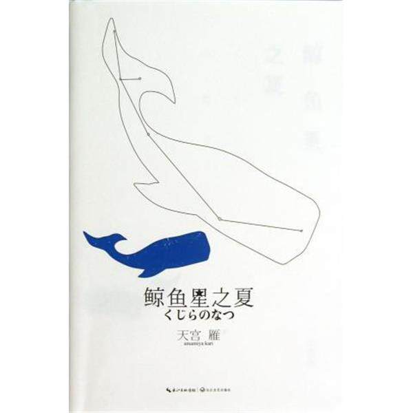 【正版书】 鲸鱼星之夏 天宫雁 著 长江文艺出版社