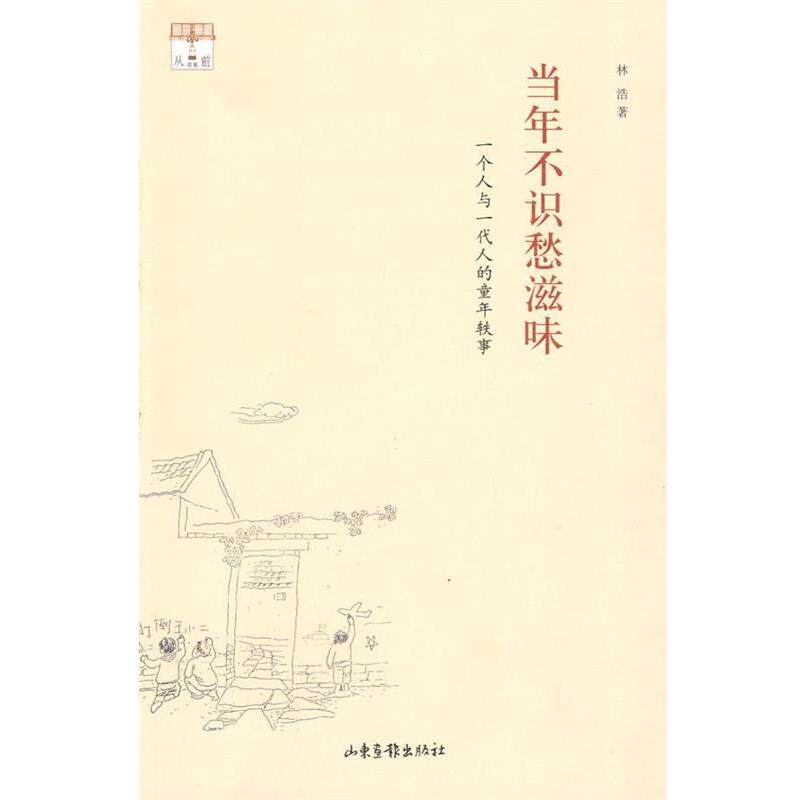 【正版书】 当年不识愁滋味-一个人与一代人的童年轶事 林浩 著 山东画报出版社