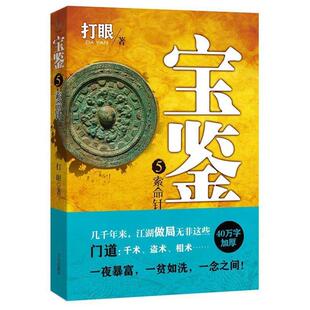 【正版书】 宝鉴5:索命针 打眼 文心出版社