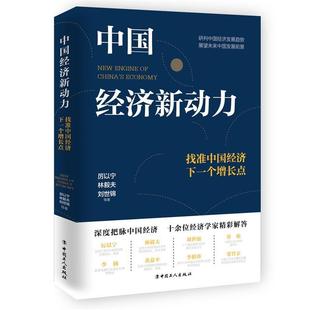 【正版书】 中国经济新动力：找准中国经济下一个增长点 厉以宁,林毅夫,刘世锦 著 工人出版社