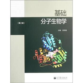 【正版书】 基础分子生物学 郑用琏 高等教育出版社