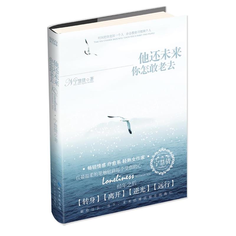 【正版书】 他还未来你怎敢老去 宁慧倩 著 长江文艺出版社