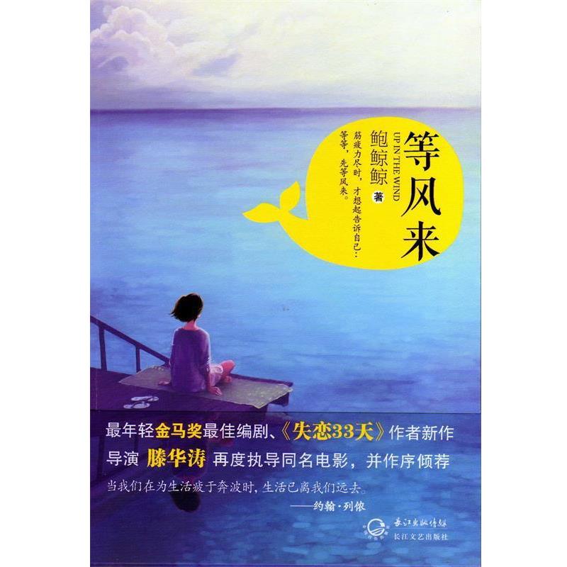 【正版书】 等风来 鲍鲸鲸 著 长江文艺出版社