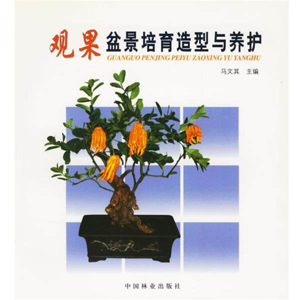 【正版书】 观果盆景培育造型与养护 马文其 主编 中国林业出版社