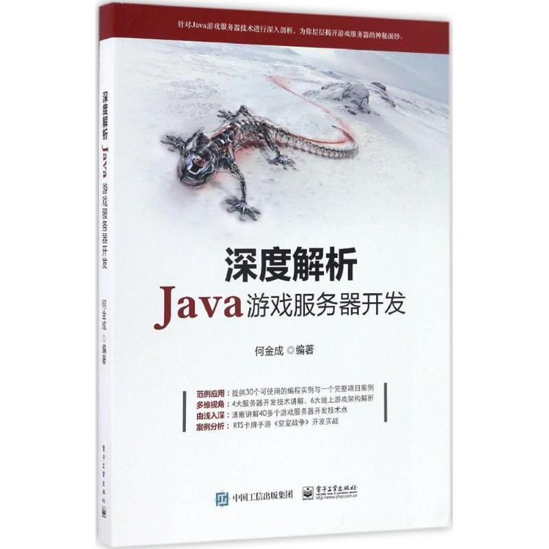 【正版书】 深度解析Java游戏服务器开发 何金成 著 电子工业出版社
