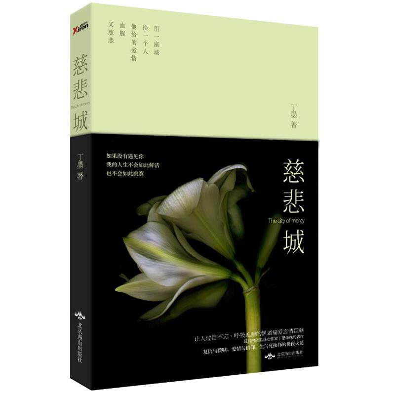 【正版书】 慈悲城 丁墨 北京燕山出版社