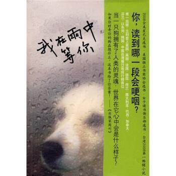 【正版书】 我在雨中等你 [美] 斯坦 著,林说俐 译 南海出版公司