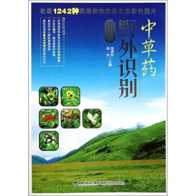 【正版书】 中草药野外识别图谱 陈虎彪,杨全 福建科技出版社