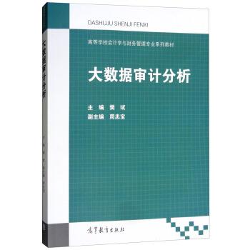 【正版书】 大数据审计分析 樊斌,周忠宝 高等教育出版社