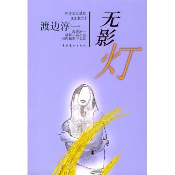 【正版书】 无影灯 [日] 渡边淳一 著,赵秀娟 译 文化艺术出版社
