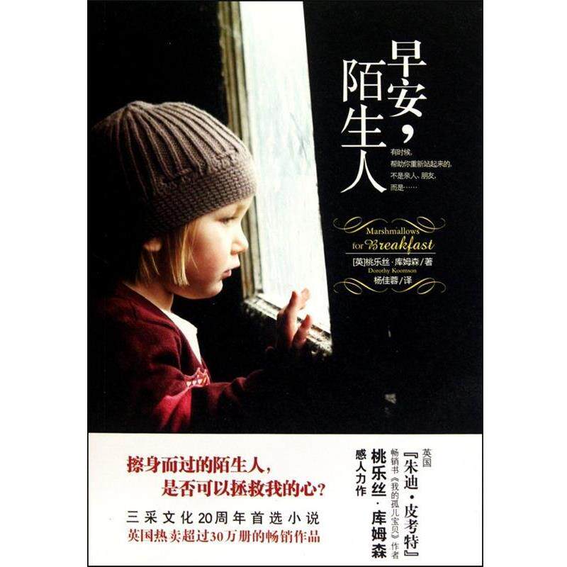 【正版书】 早安,陌生人 桃乐丝•库姆森, 杨佳蓉 文化艺术出版社